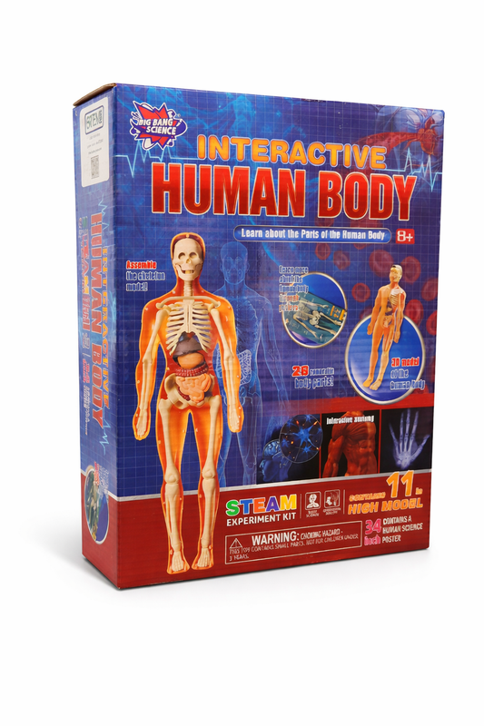Human Anatomy Lab